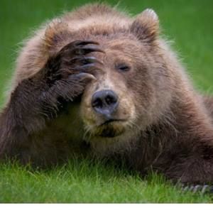 Meet your Posher, Kristie